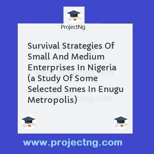 Survival Strategies Of Small And Medium Enterprises In Nigeria 