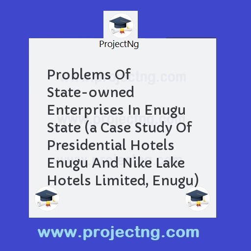Problems Of State-owned Enterprises In Enugu State 