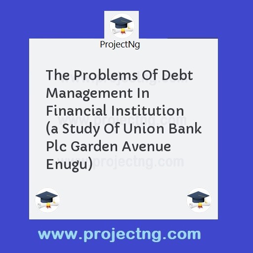 The Problems Of Debt Management In Financial Institution 