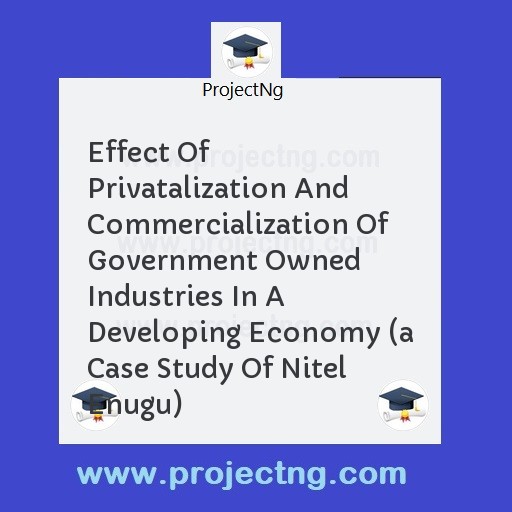 Effect Of Privatalization And Commercialization Of Government Owned Industries In A Developing Economy 