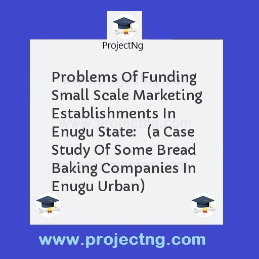 Problems Of Funding Small Scale Marketing Establishments In Enugu State:   