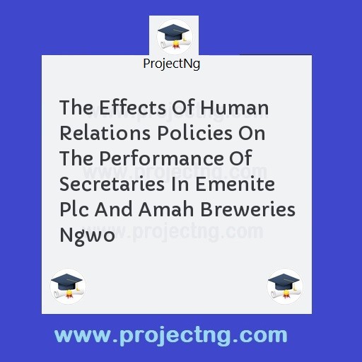 The Effects Of Human Relations Policies On The Performance Of Secretaries In Emenite Plc And Amah Breweries Ngwo