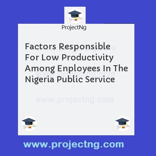 Factors Responsible For Low Productivity Among Enployees In The Nigeria Public Service