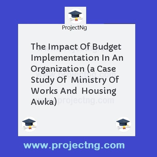 The Impact Of Budget Implementation In An Organization 