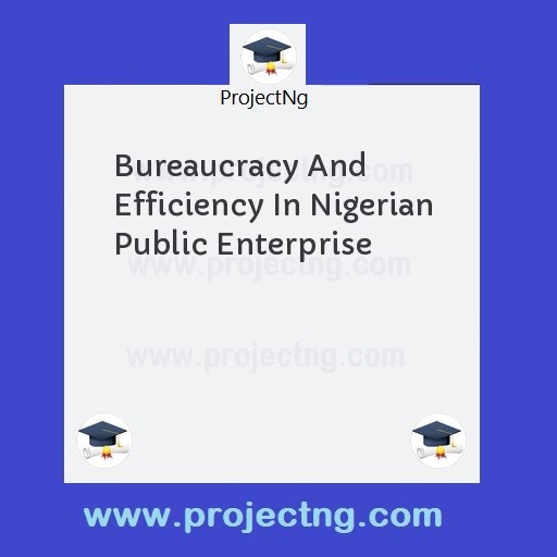 Bureaucracy And Efficiency In Nigerian Public Enterprise