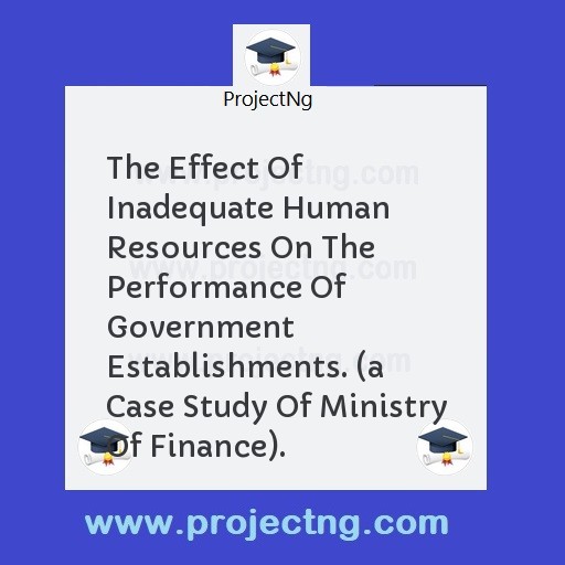 The Effect Of Inadequate Human Resources On The Performance Of Government Establishments. 