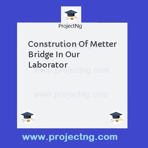 Constrution Of Metter Bridge In Our Laborator
