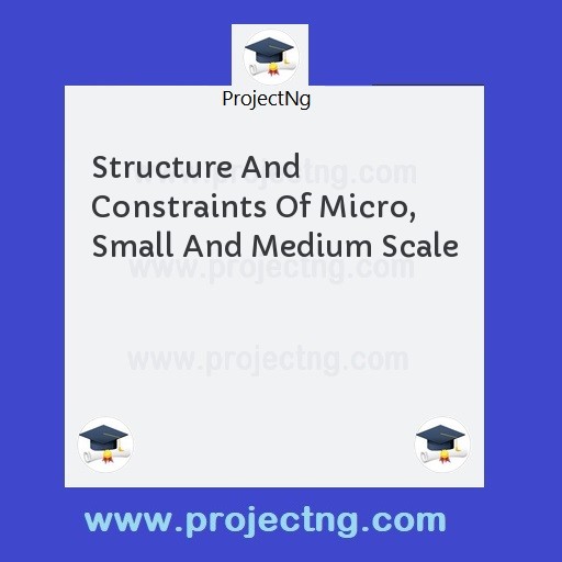 Structure And Constraints Of Micro, Small And Medium Scale
